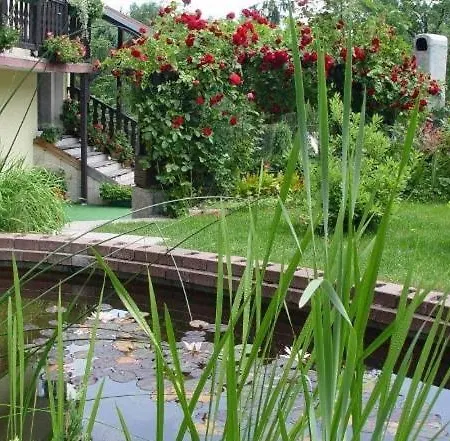 Goscinne Weekend Guest house